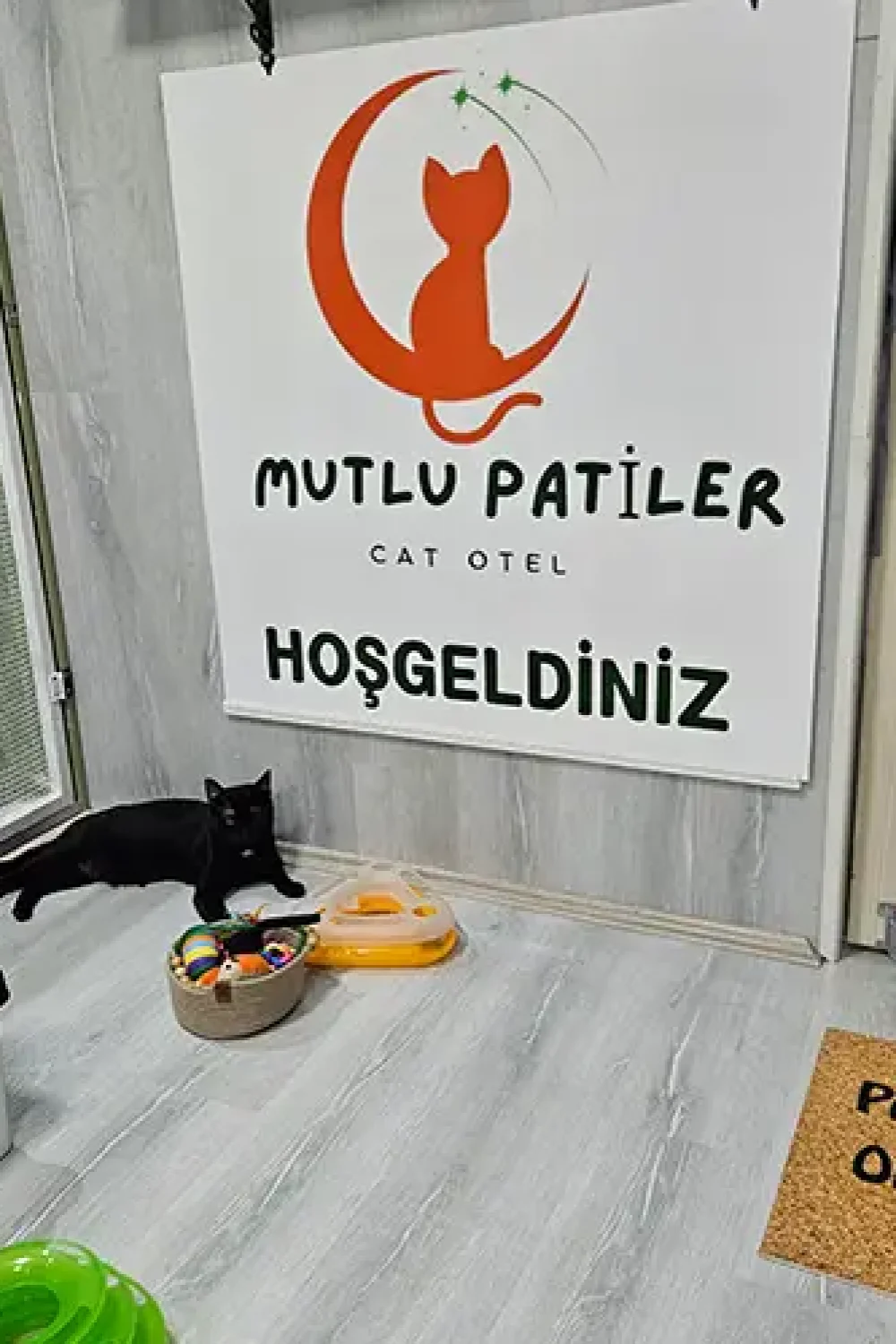 mutlu-patiler-kedi-oteli-cankaya